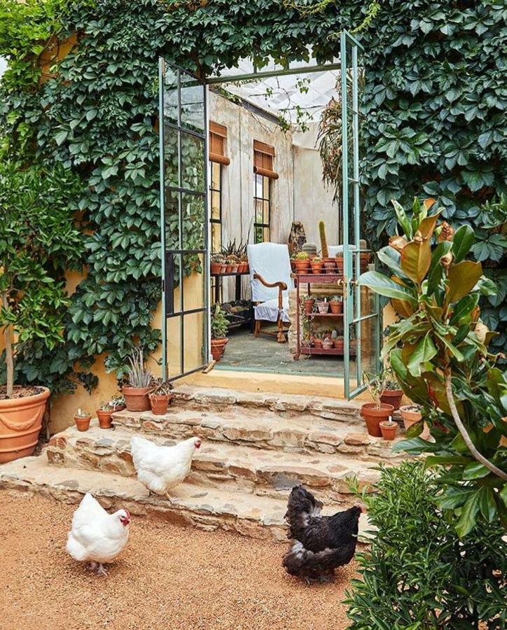 Bed and Breakfast Jonkmanshof - 20 Bath Montagu Exterior foto